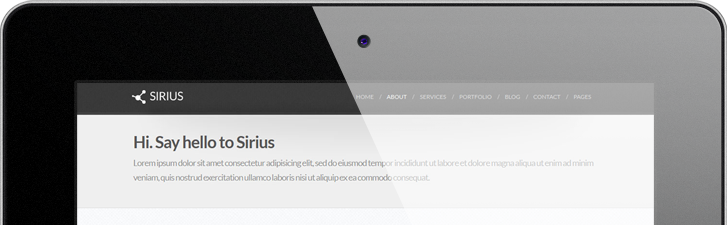 软件市场安全的ddos攻击工具